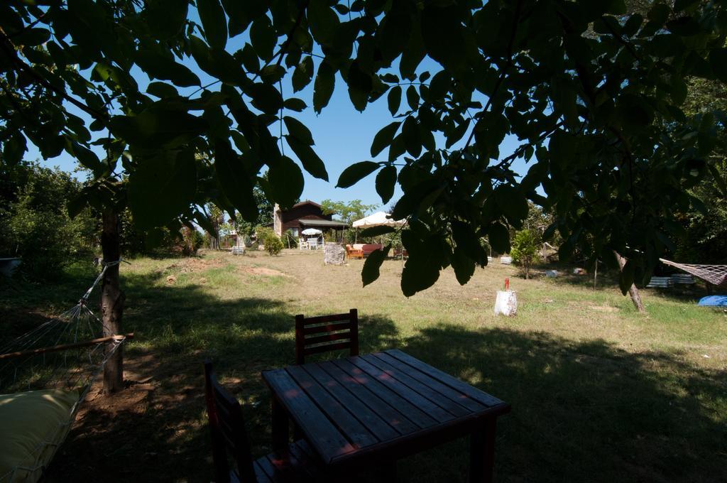 Agva Nehir Perisi Hotel Goce Dış mekan fotoğraf