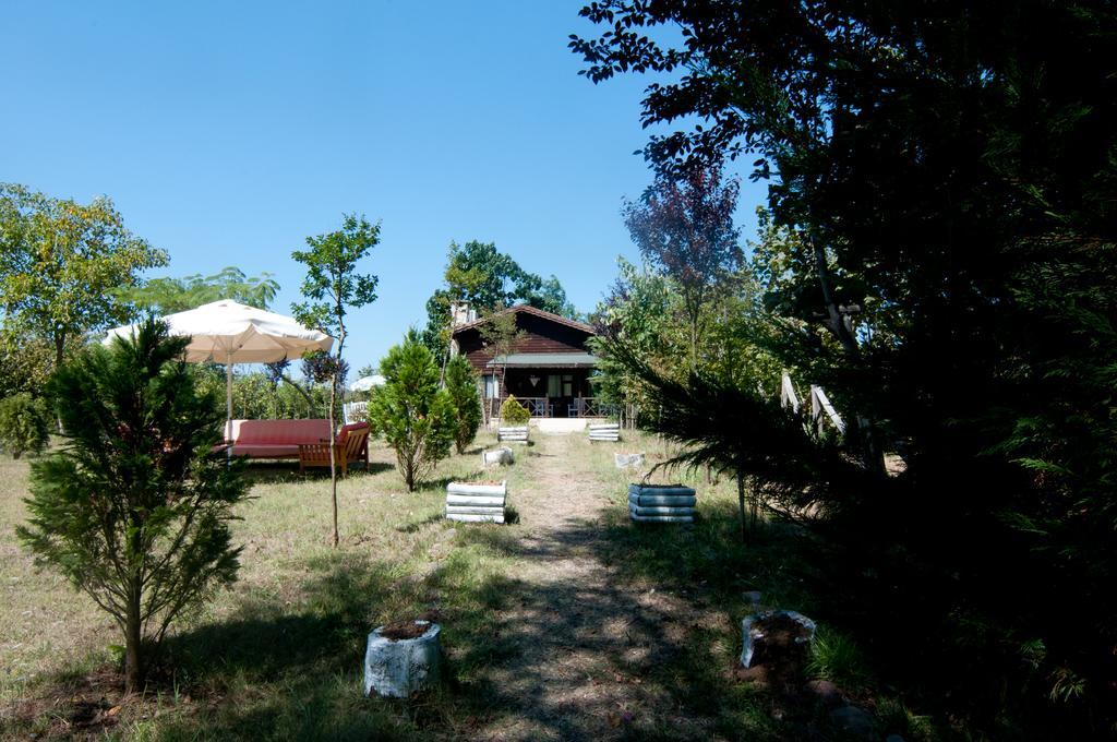 Agva Nehir Perisi Hotel Goce Dış mekan fotoğraf