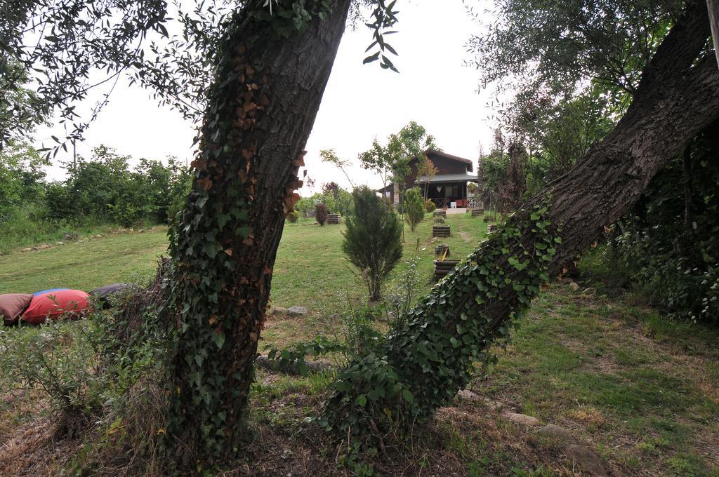 Agva Nehir Perisi Hotel Goce Oda fotoğraf