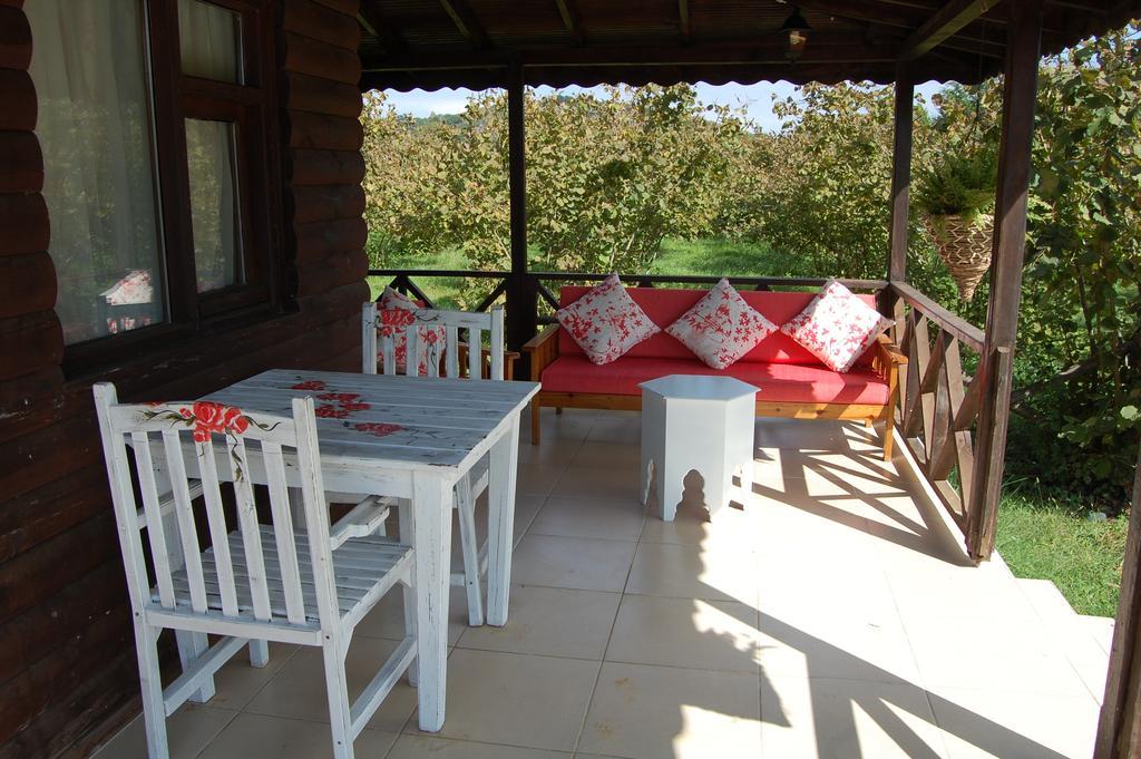Agva Nehir Perisi Hotel Goce Oda fotoğraf